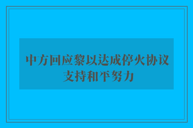 中方回应黎以达成停火协议 支持和平努力