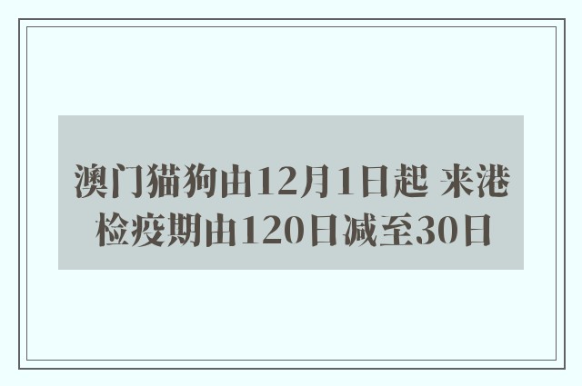 澳门猫狗由12月1日起 来港检疫期由120日减至30日