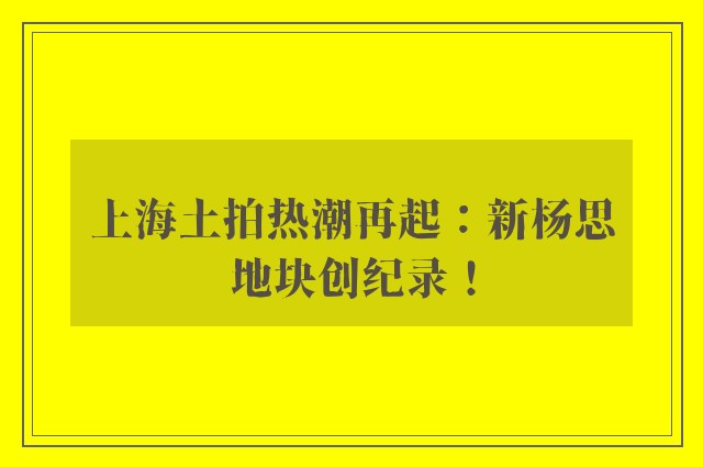 上海土拍热潮再起：新杨思地块创纪录！