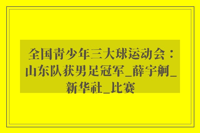 全国青少年三大球运动会：山东队获男足冠军_薛宇舸_新华社_比赛