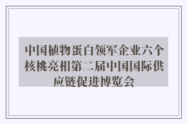 中国植物蛋白领军企业六个核桃亮相第二届中国国际供应链促进博览会