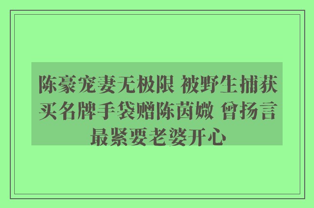 陈豪宠妻无极限 被野生捕获买名牌手袋赠陈茵媺 曾扬言最紧要老婆开心