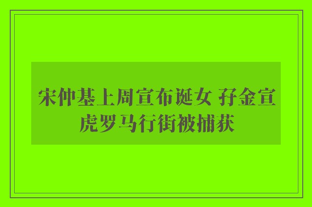 宋仲基上周宣布诞女 孖金宣虎罗马行街被捕获