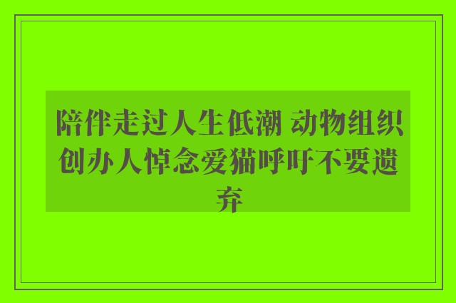 陪伴走过人生低潮 动物组织创办人悼念爱猫呼吁不要遗弃