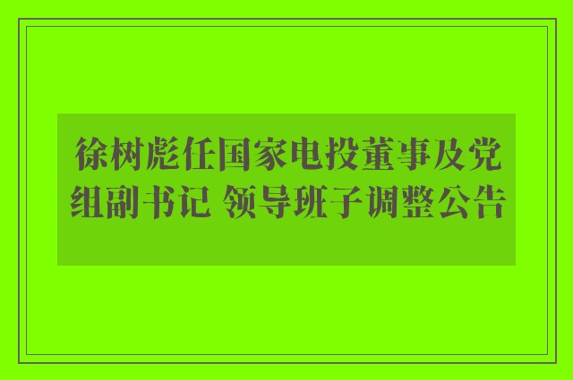 徐树彪任国家电投董事及党组副书记 领导班子调整公告