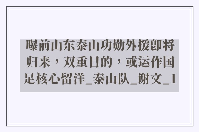 曝前山东泰山功勋外援即将归来，双重目的，或运作国足核心留洋_泰山队_谢文_1