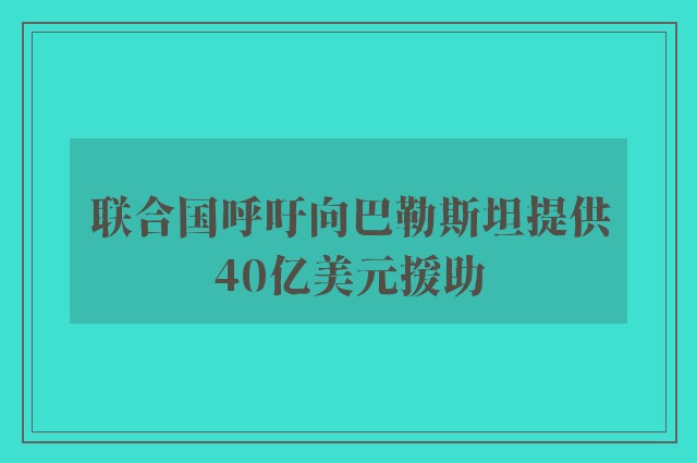 联合国呼吁向巴勒斯坦提供40亿美元援助