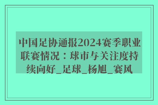 中国足协通报2024赛季职业联赛情况：球市与关注度持续向好_足球_杨旭_赛风