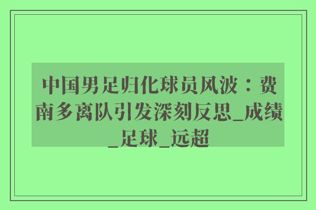 中国男足归化球员风波：费南多离队引发深刻反思_成绩_足球_远超