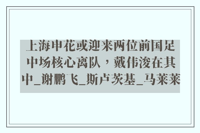 上海申花或迎来两位前国足中场核心离队，戴伟浚在其中_谢鹏飞_斯卢茨基_马莱莱