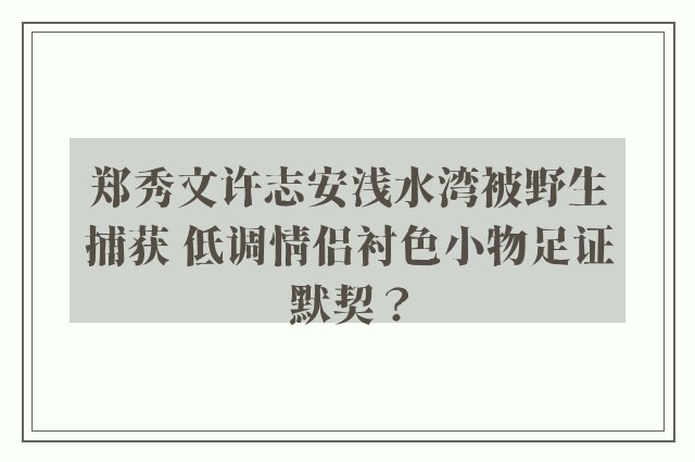 郑秀文许志安浅水湾被野生捕获 低调情侣衬色小物足证默契？