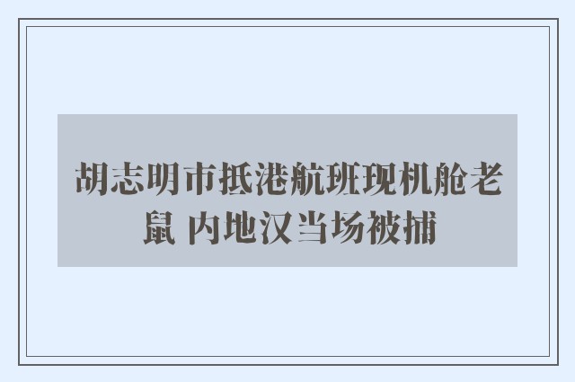 胡志明市抵港航班现机舱老鼠 内地汉当场被捕