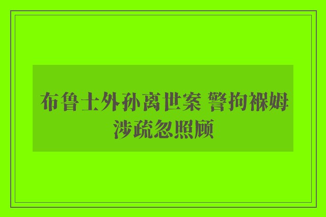 布鲁士外孙离世案 警拘褓姆涉疏忽照顾