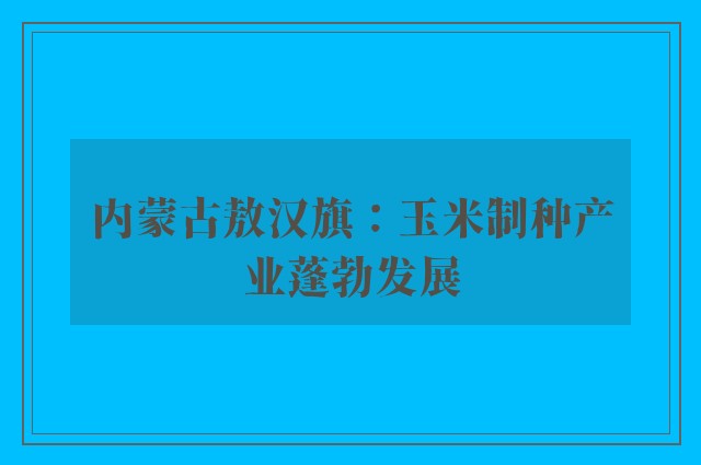 内蒙古敖汉旗：玉米制种产业蓬勃发展