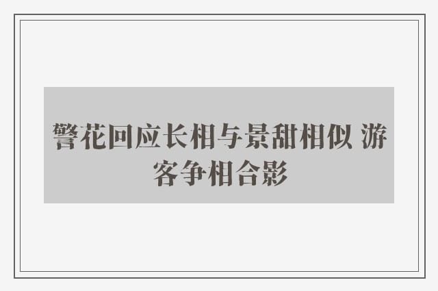 警花回应长相与景甜相似 游客争相合影