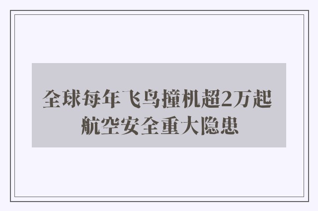 全球每年飞鸟撞机超2万起 航空安全重大隐患