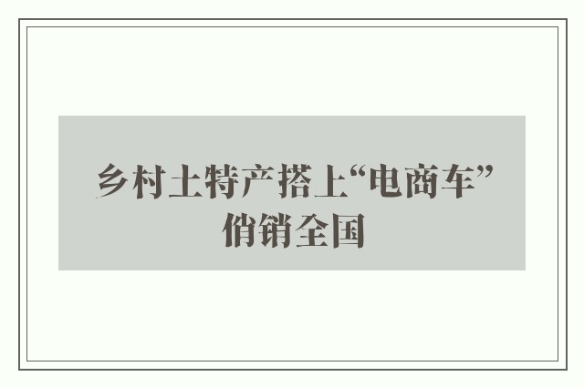 乡村土特产搭上“电商车”俏销全国