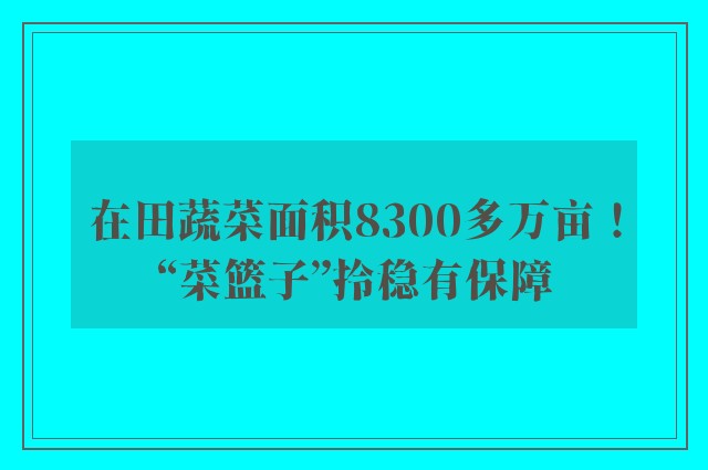 在田蔬菜面积8300多万亩！“菜篮子”拎稳有保障